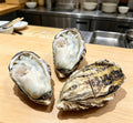 Fresh Raw Oysters - image 1